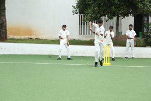 Cricket
